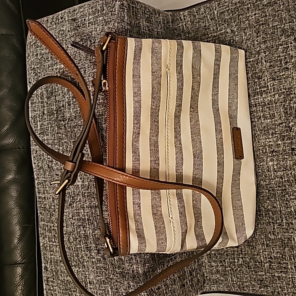Fossil Crossbody Bag